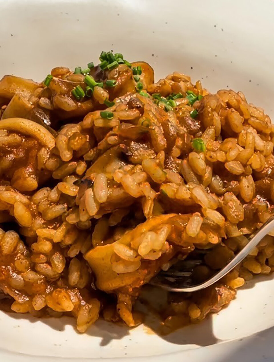 emplatado para arroz meloso con calamares encebollados